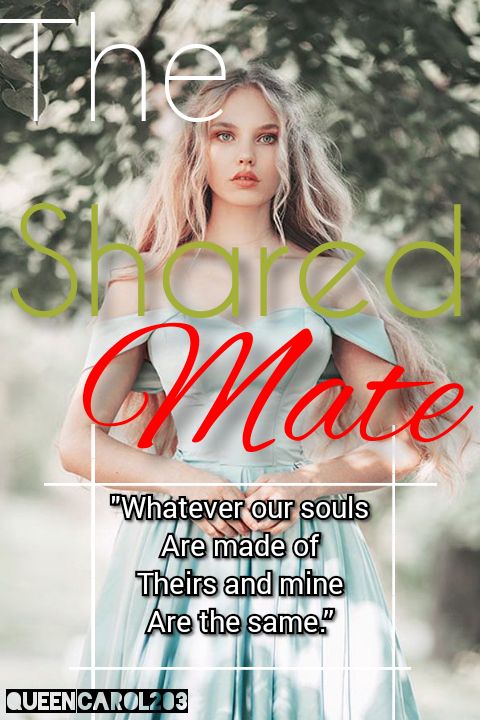 L'Âme Sœur Partagée