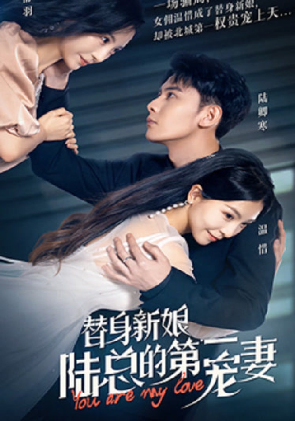 替身新娘：陆总的第一宠妻