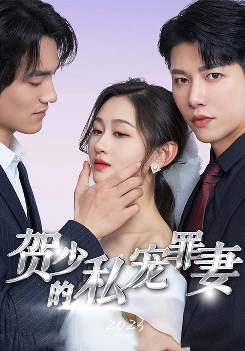 贺少的私宠罪妻