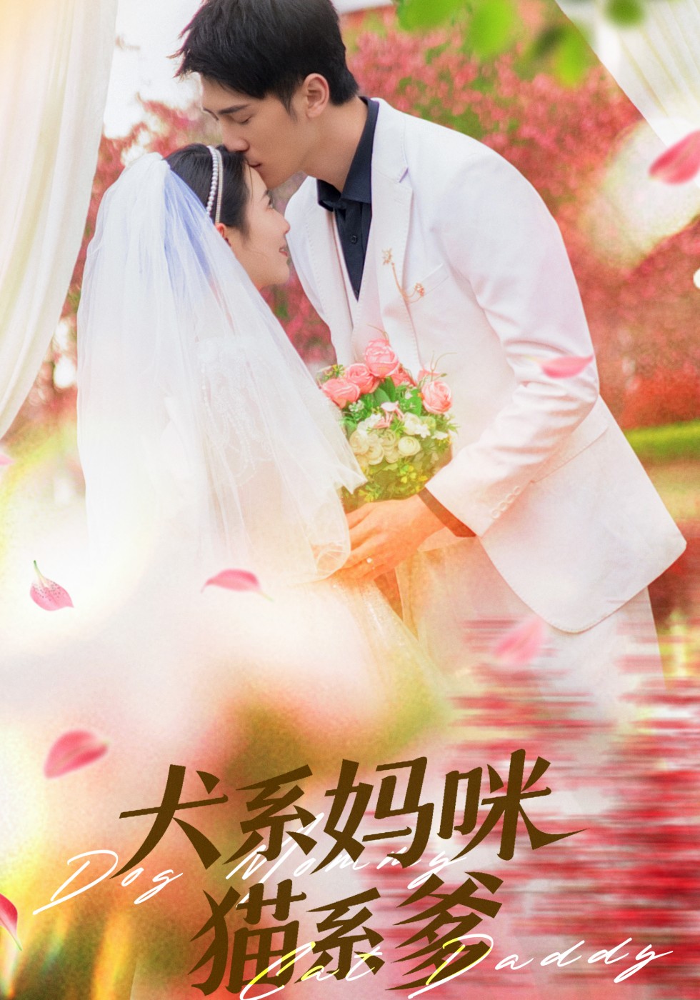 犬系妈咪猫系爹