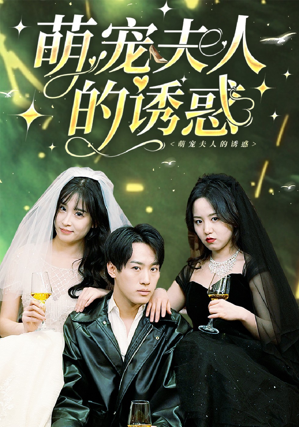 萌宠夫人的诱惑