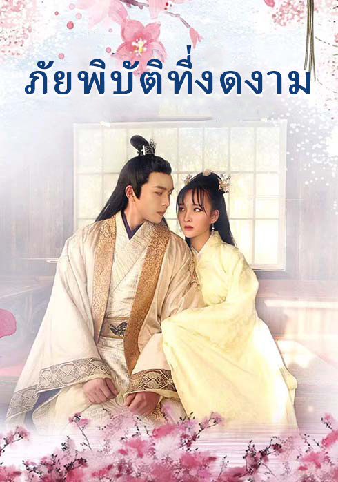 ภัยพิบัติที่งดงาม  