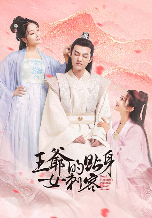 王爷的贴身女刺客