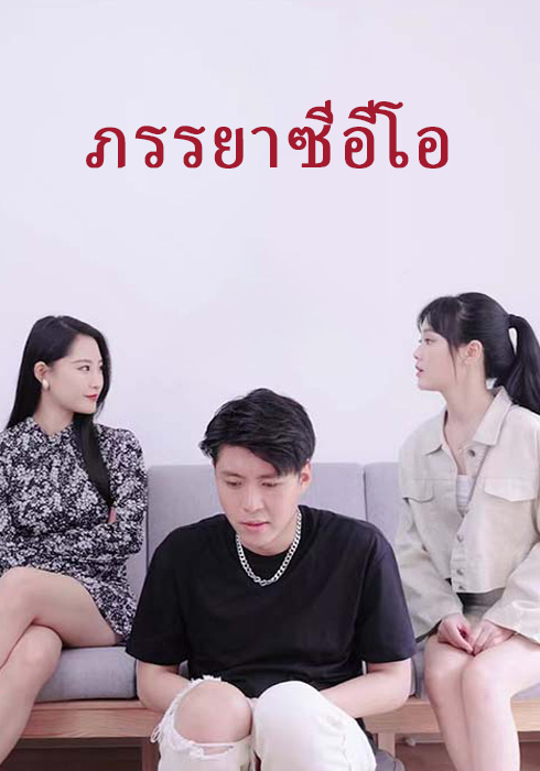 ภรรยาซีอีโอ  