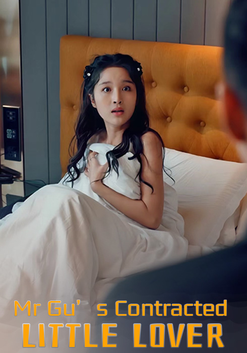 Kekasih Kecil Kontrak Encik Gu