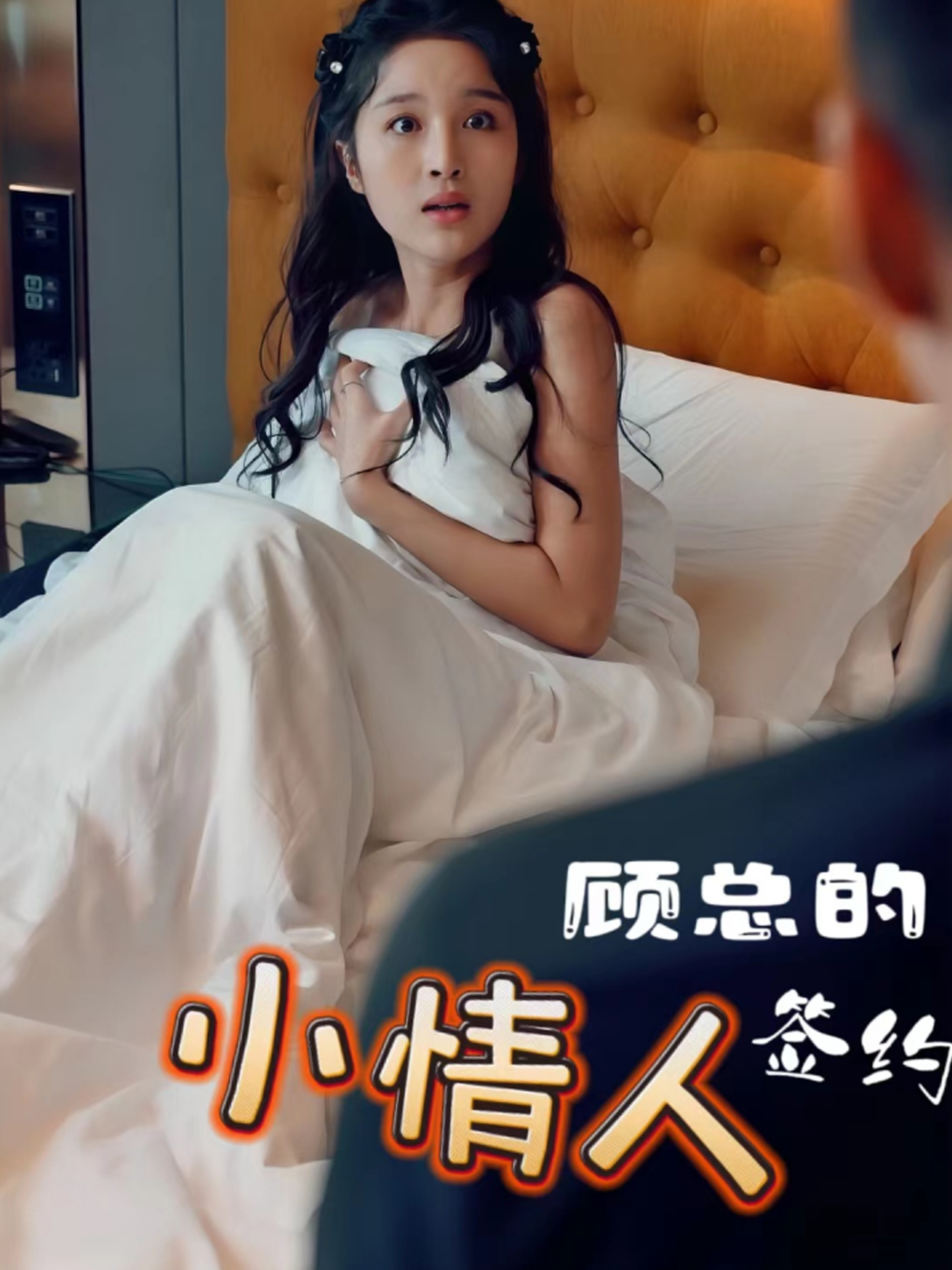 顾总的签约小情人