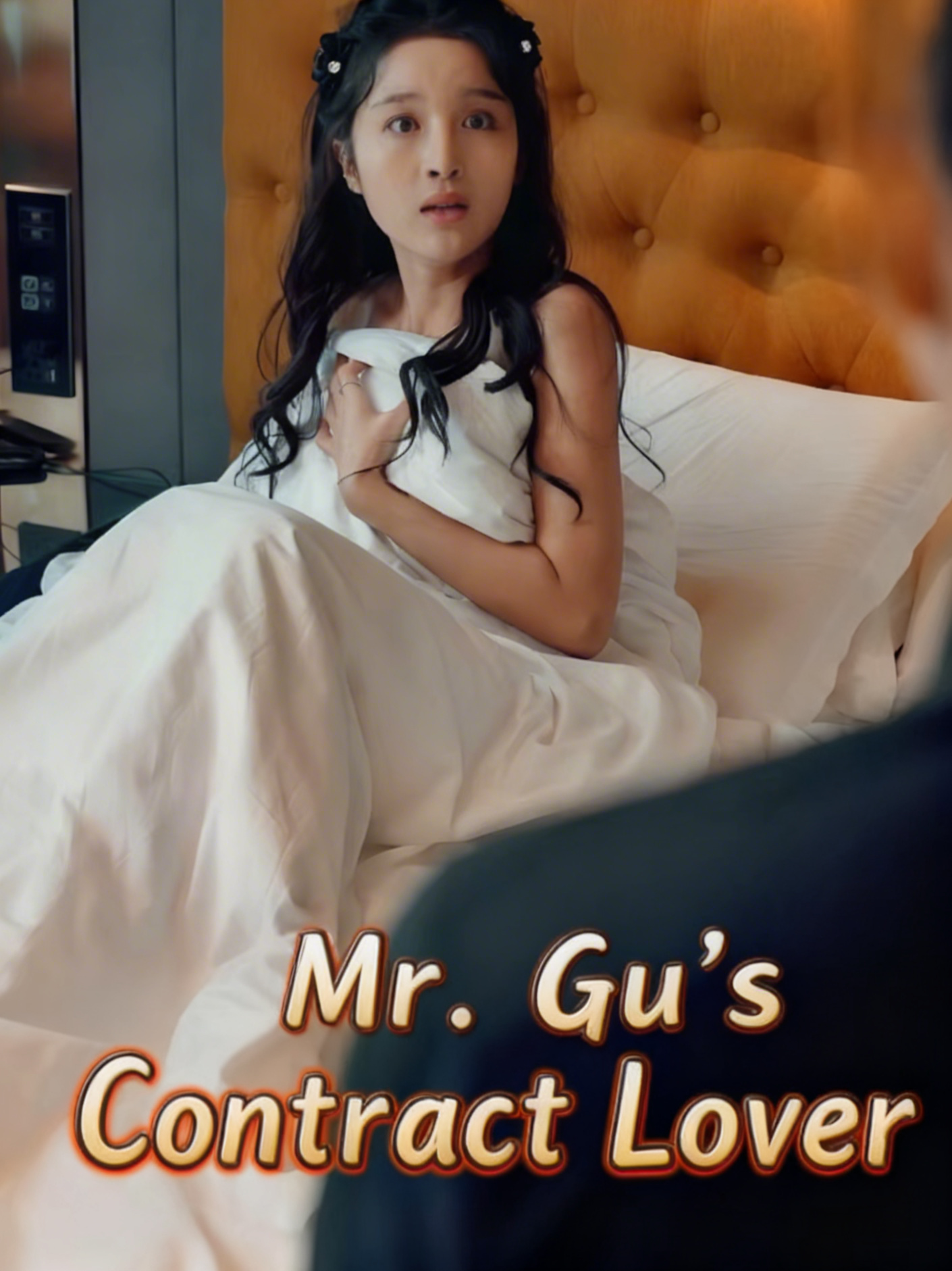 Mr. Gu’s Contract Lover
