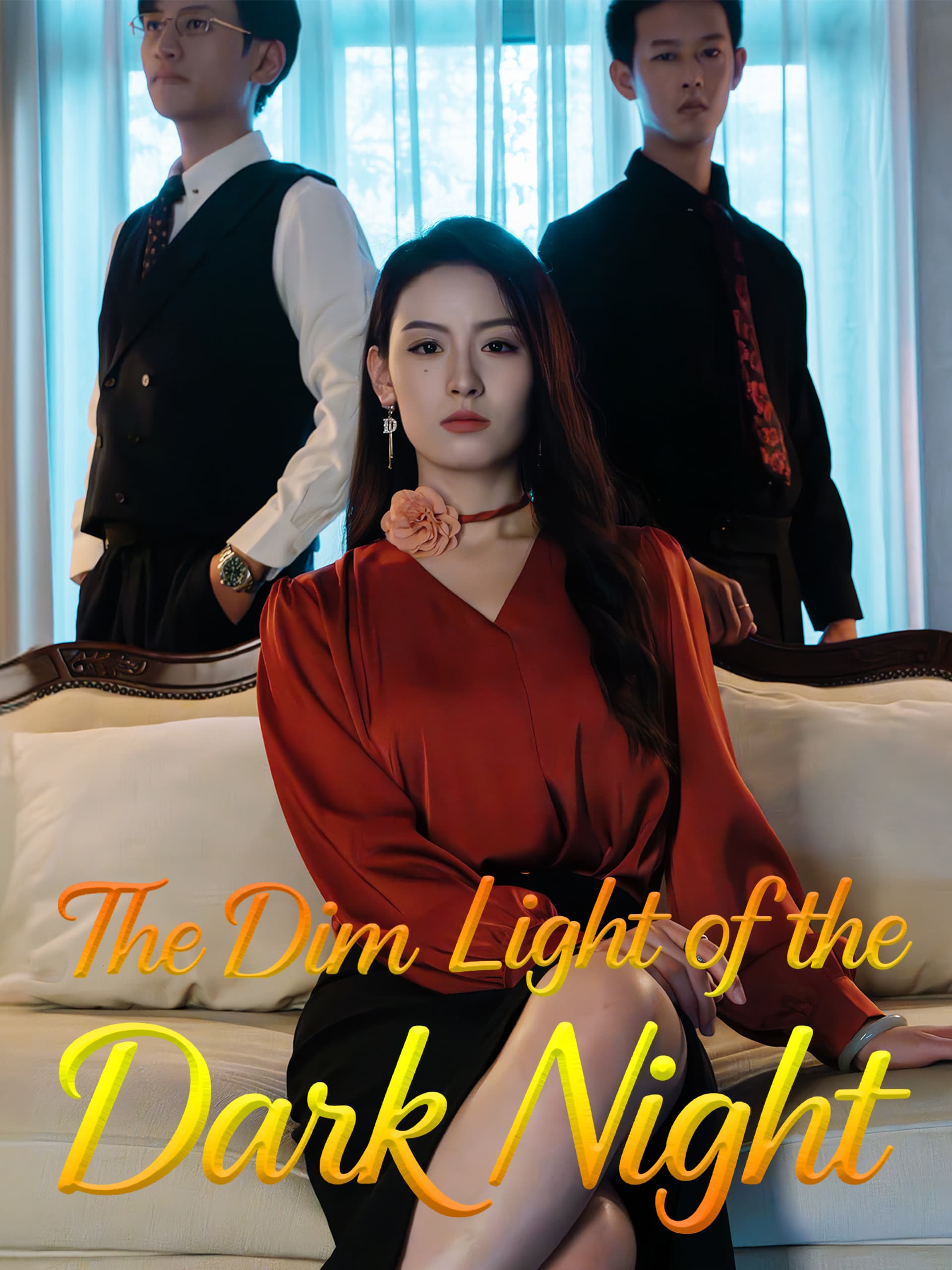 The Dim Light of the Dark Night