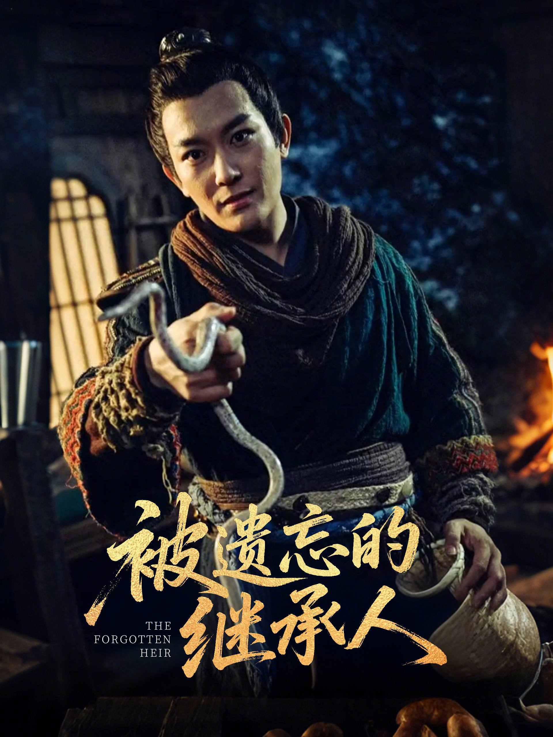 被遗忘的继承人